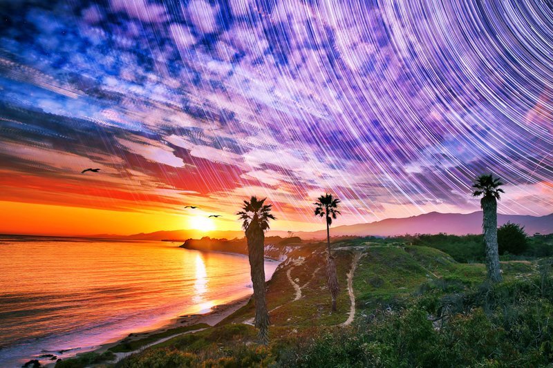 Ellwood 4D | Signed Print