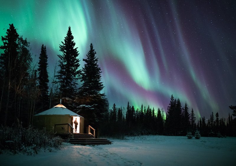 Dreaming While Awake | Signed Print