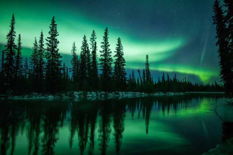 Signed Print | Dynamic Reflection