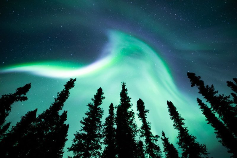 Signed Print | Aurora Wave