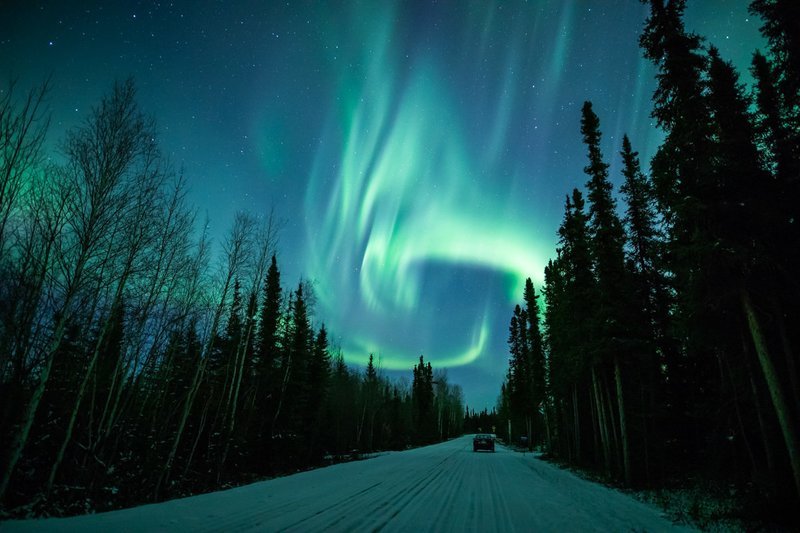 Signed Print | Stop for the View