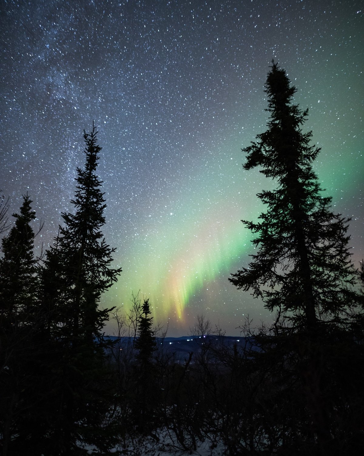 Signed Print | Facing North