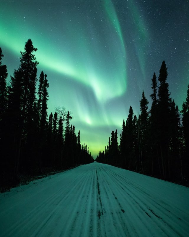 Signed Print | Quiet Empty Road