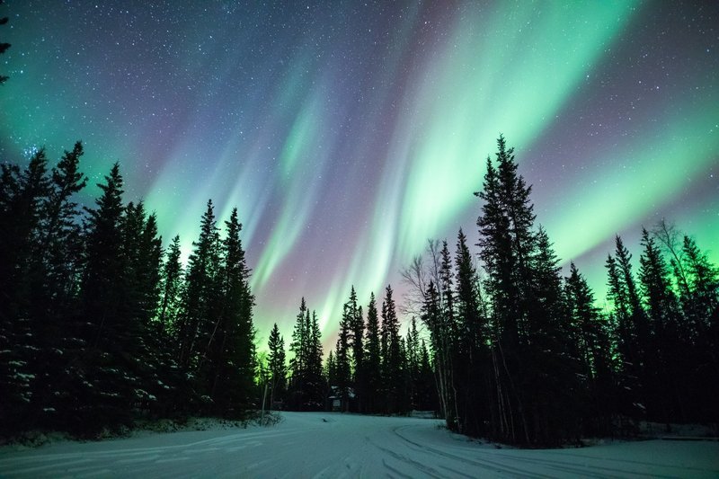 Canvas Print | Candy Skies