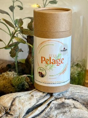 Beau Pelage - shampooing sec pour chien 🐶