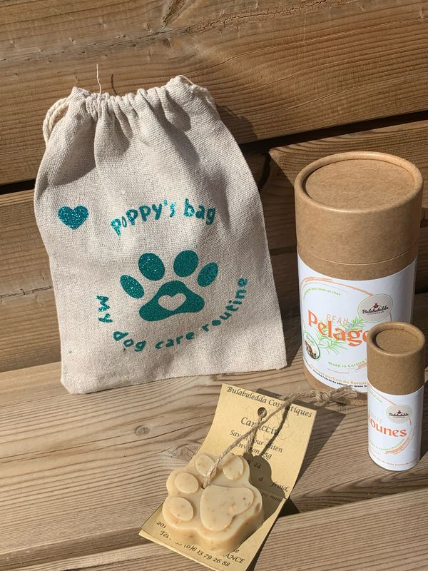 Coffret Dog Care routine pour chien 🐶