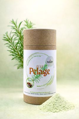 Beau Pelage - shampooing sec pour chien