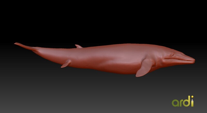 Dorudon atrox