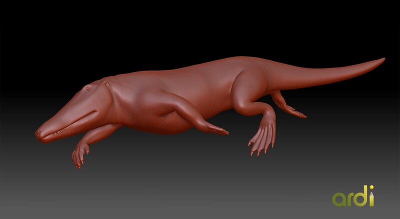 Ambulocetus natans