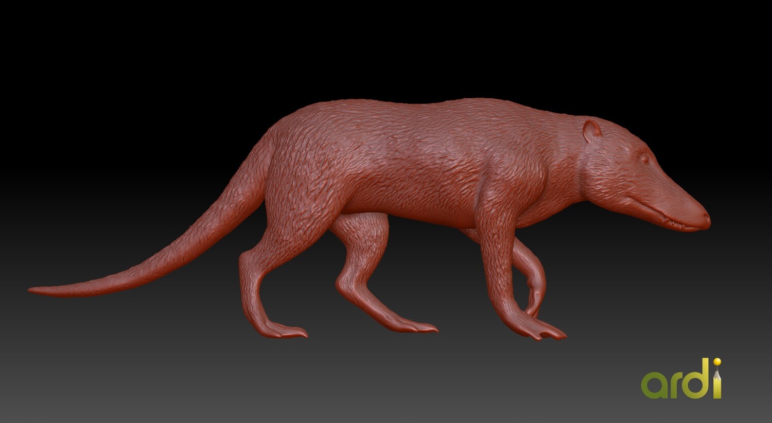 Pakicetus attocki