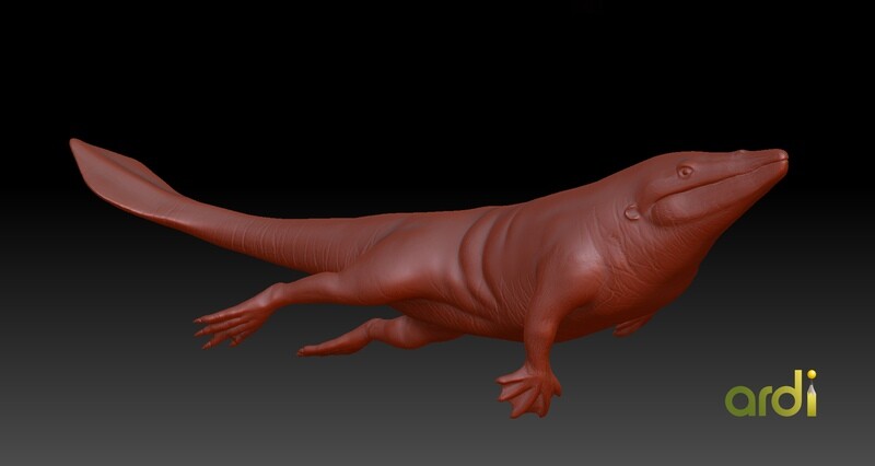 Protocetus avatus