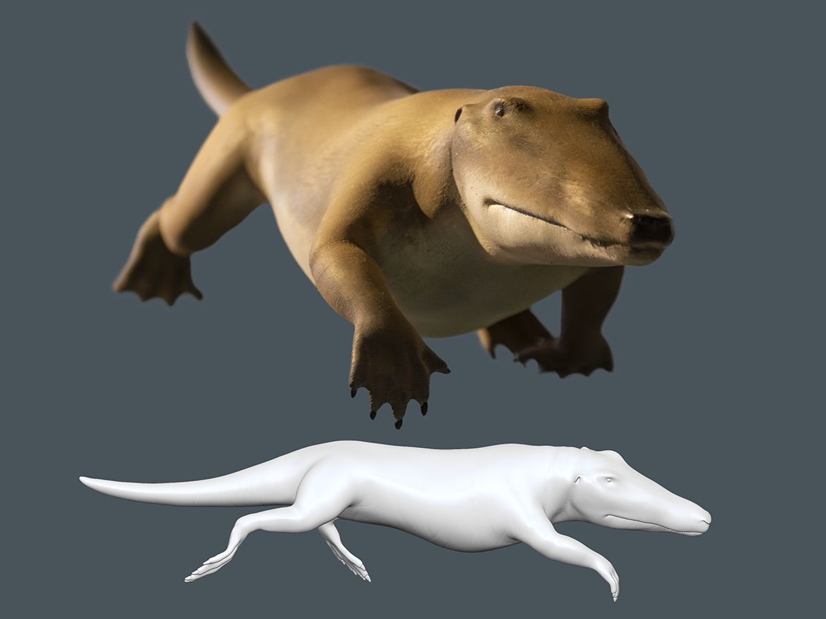 Ambulocetus