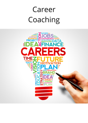 Mini Career Coaching