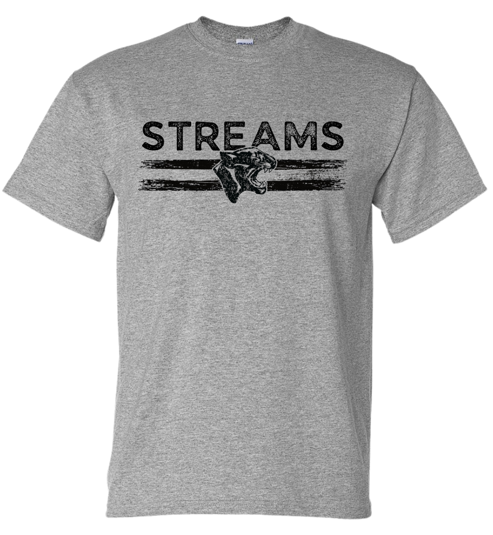 Streams T-Shirt 2026