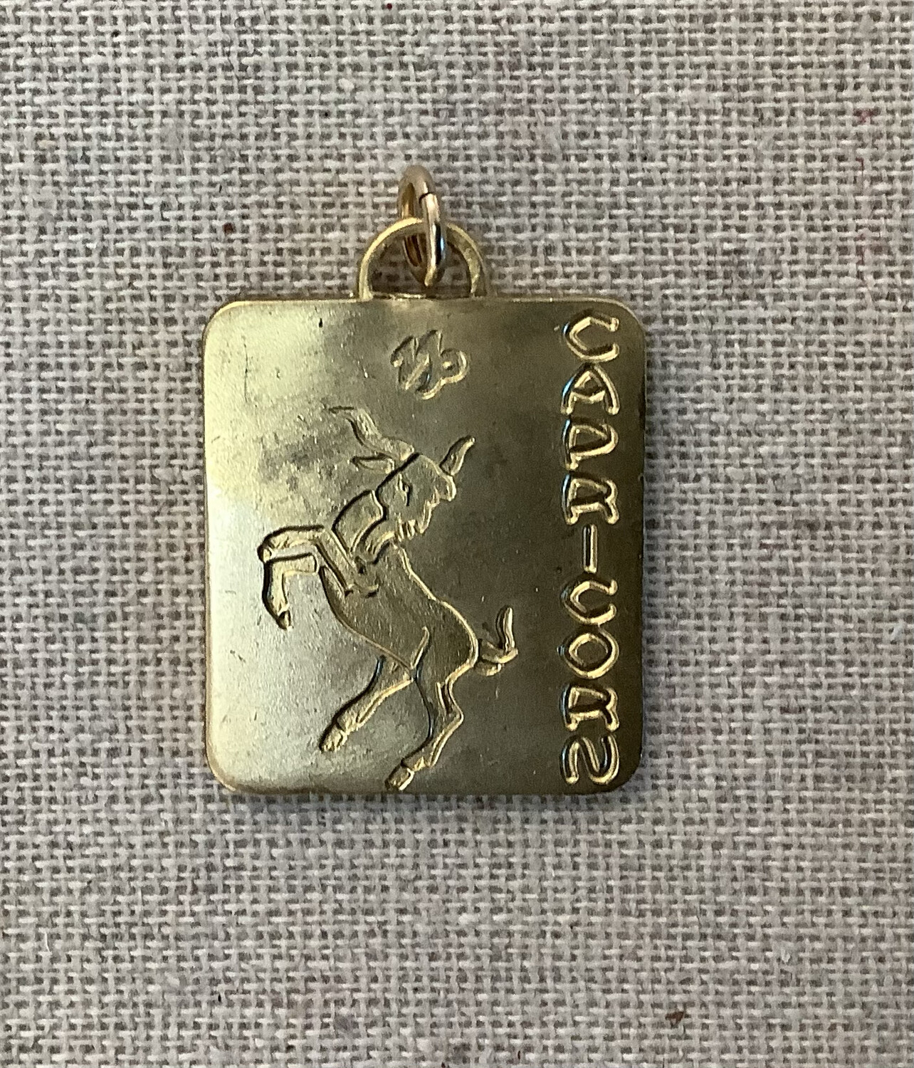 Vintage Brass Rectangular Zodiac Charms, Zodiac: Capricorn