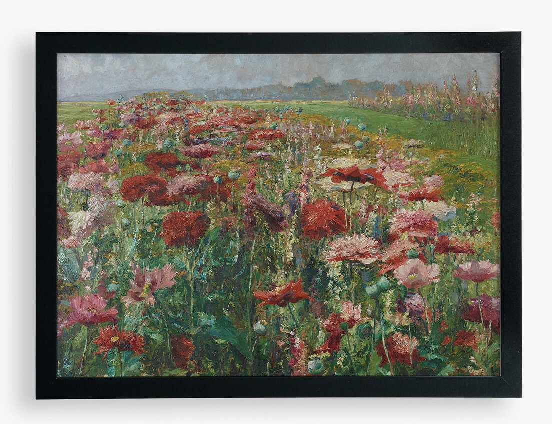 Blooming Poppy Art Print