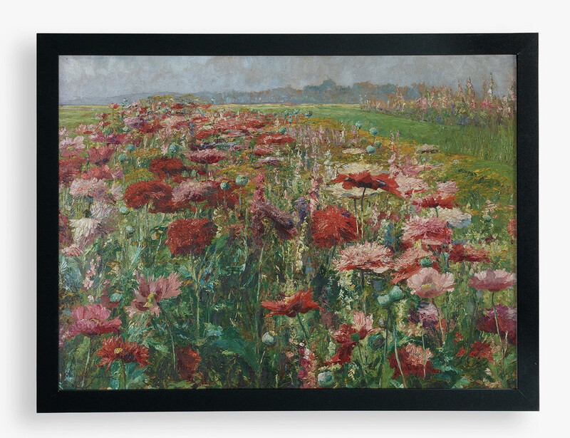 Blooming Poppy Art Print