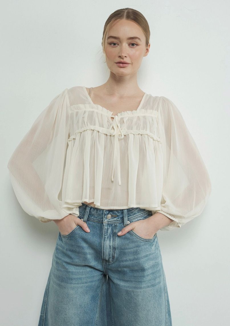 Sheer Front Tie Blouse Top (2 Colors)