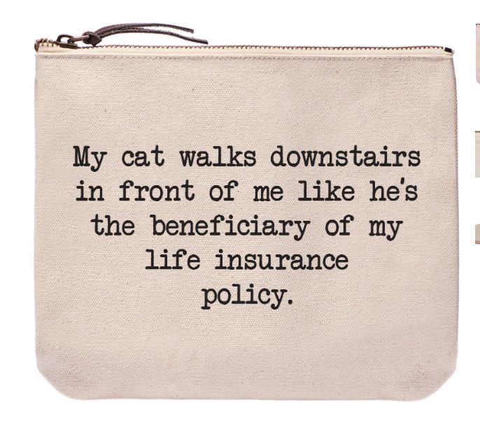 Witty Zipper Bags, Quote: Cat Walks Downstairs