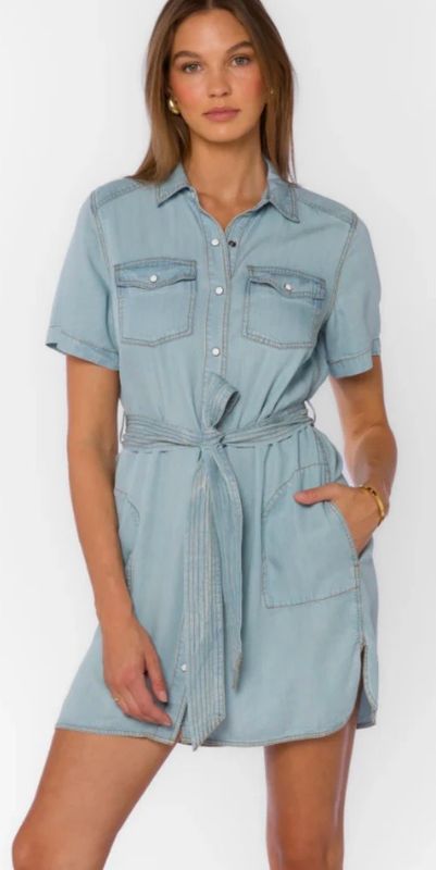 Chambray Belted Mini Dress