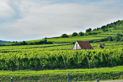 HUNGARY Tokaj