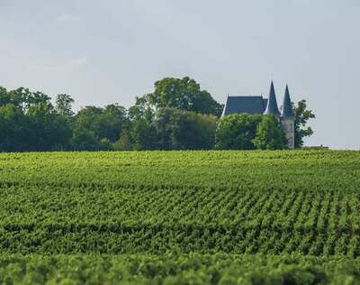 FRANCE Bordeaux - Medoc