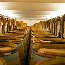 FRANCE Bordeaux - Pauillac