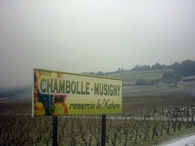FRANCE Burgundy - Cote de Nuits - Chambolle Musigny