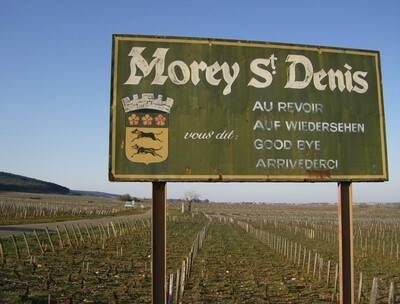 FRANCE Burgundy - Cote de Nuits - Morey St. Denis