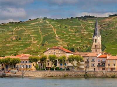 Northern Rhone