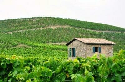 FRANCE Northern Rhone - Hermitage