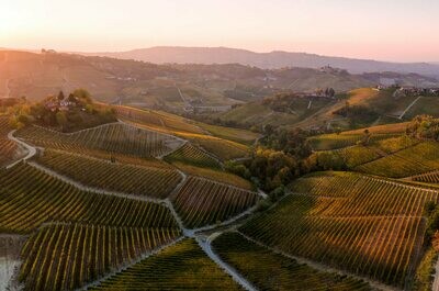 ITALY Piedmont - Barolo