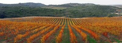 SPAIN Campo de Borja
