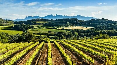 SPAIN Catalunya