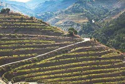SPAIN Priorat