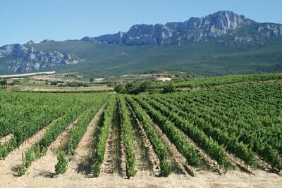 SPAIN Rioja