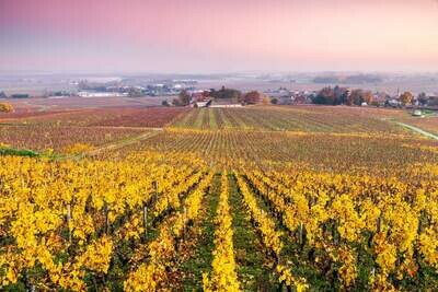 FRANCE Burgundy - Cote de Beaune