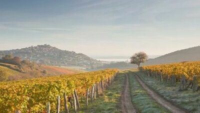 FRANCE Loire Valley - Pouilly Fume