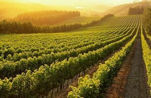 Loire Valley