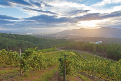 SPAIN Rias Baixas