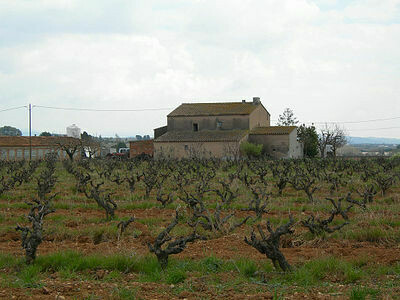 SPAIN VT Tierra de Mallorca