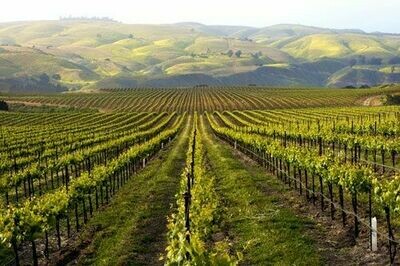 USA California