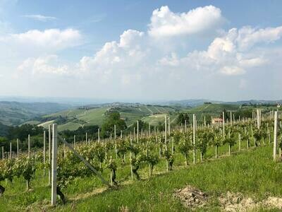 ITALY Piedmont