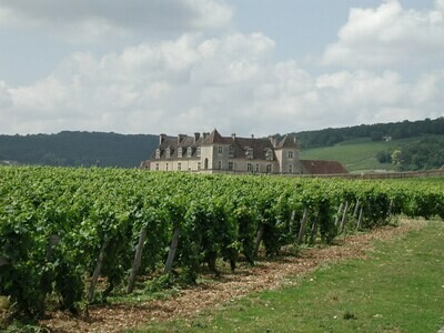 FRANCE Burgundy - Cote de Nuits - Clos de Vougeot