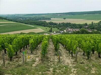 FRANCE Burgundy - Chablis