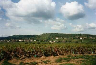 FRANCE - Burgundy - Cote Chalonnaise - Bouzeron