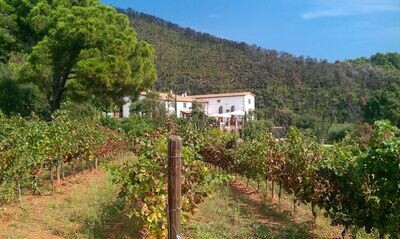 SPAIN Emporda