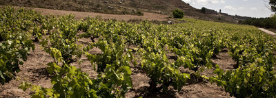 SPAIN VT Tierra de Zamora