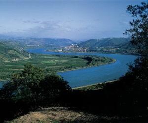 FRANCE Northern Rhone - Saint-Joseph
