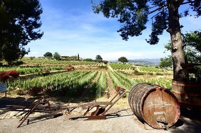 FRANCE Provence - Bandol